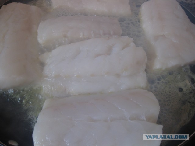 Треска с попугаями