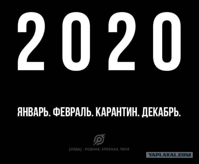 Истинная пандемия (+18)