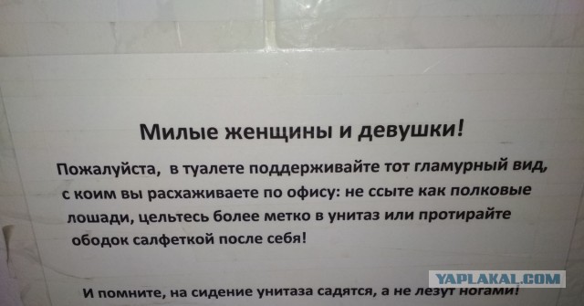 "Девушки же аккуратные и чистоплотные" говорили они... "Пусти ее квартиранткой пожить"