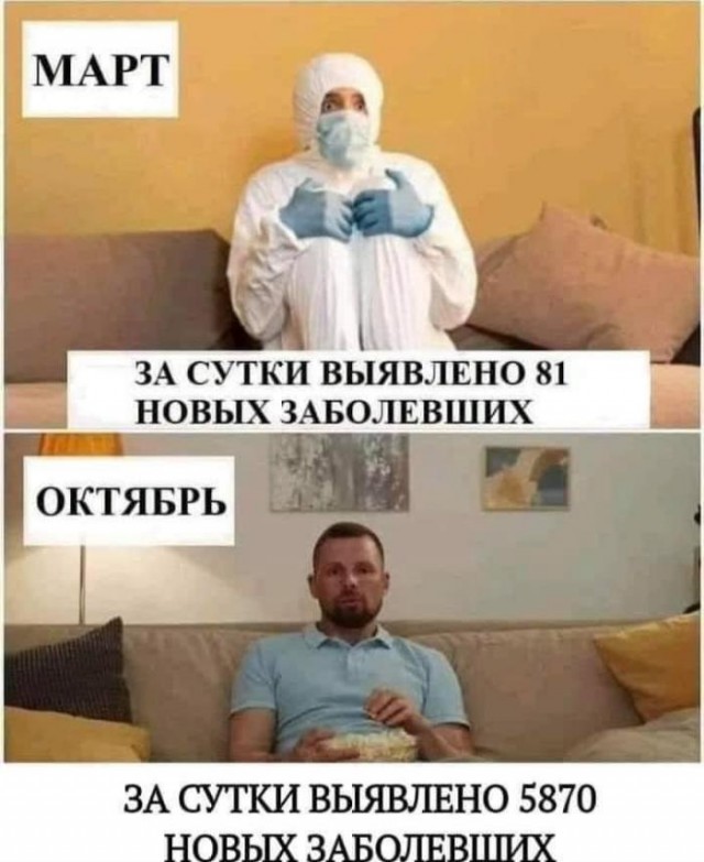 Сегодня воскресенье, четырнадцать часов, а значит настала пора очередной серии смищних кортиног из скотсетей