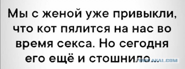 Немного картинок для настроения 05.11.20