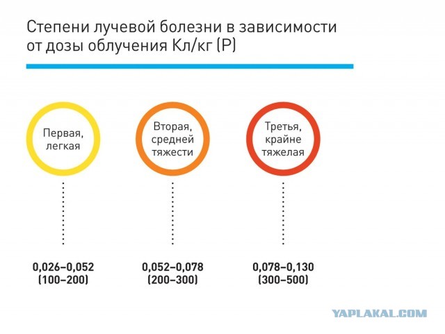 Как выжить после ядерного удара