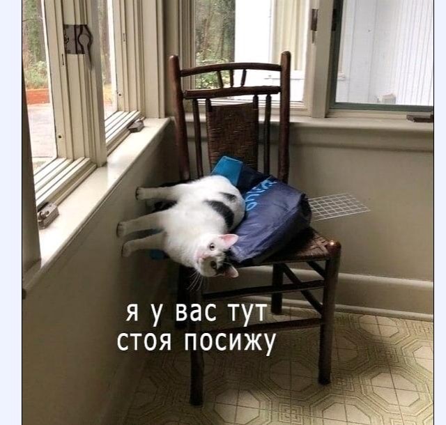 Картинки и мемы для настроения 006