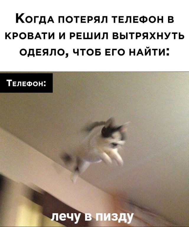 С новым...
