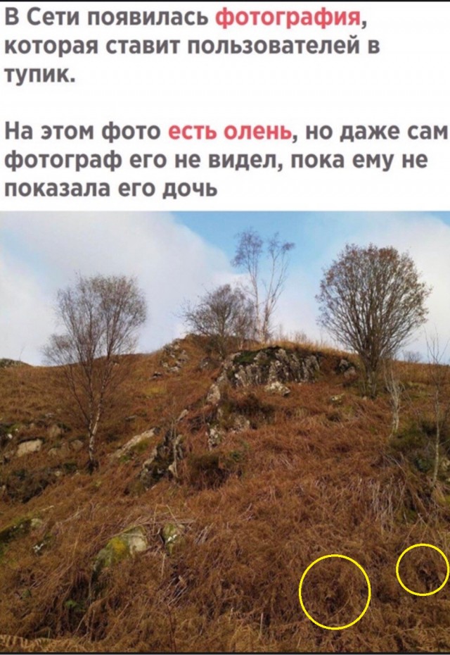 Утро вам не «это»!