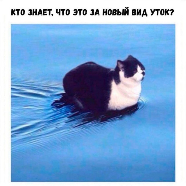 Так себе картинки 27.05.21