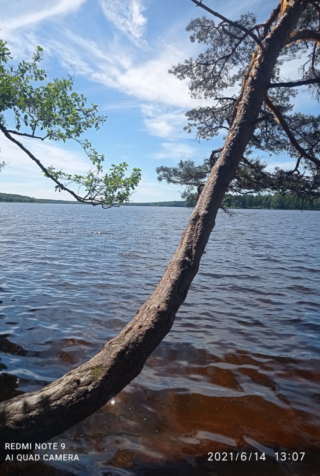 Последняя картинка в вашей Галерее/Загрузках