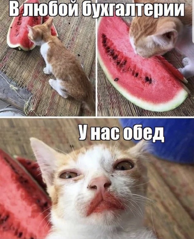 Всяческие картинки