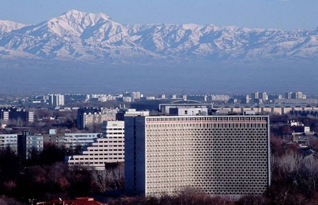 Такие огромные штуки могут вызвать приступ мегалофобии