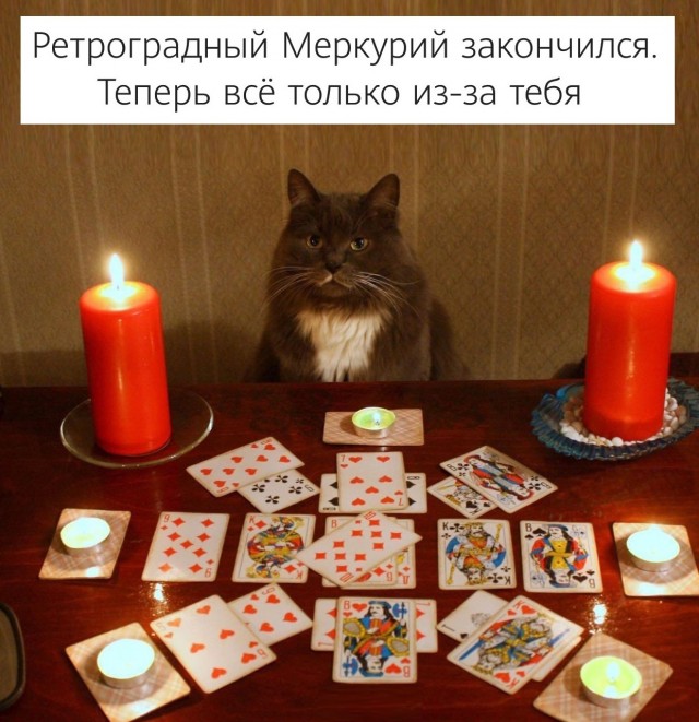 Баяны бабыЯны