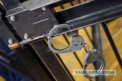 Изнасиловавшего 27 россиянок бывшего сотрудника МВД выпустят раньше срока