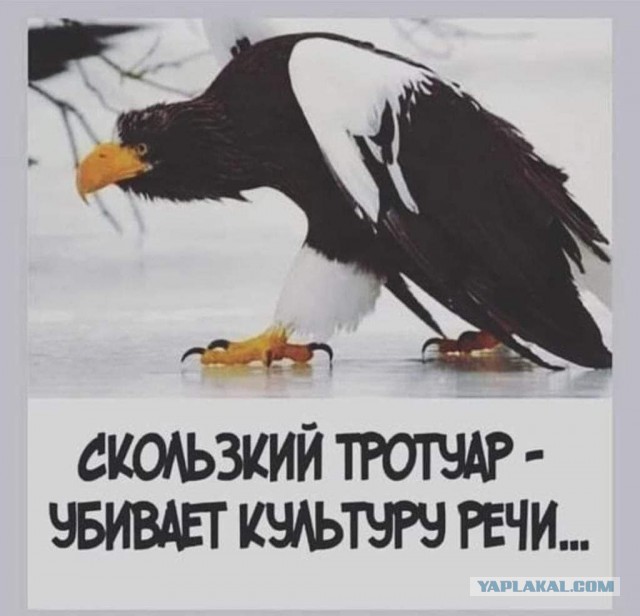 Признаки врущей женщины, о которых знают не все.