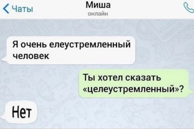 Весёлый полтишок 17.01
