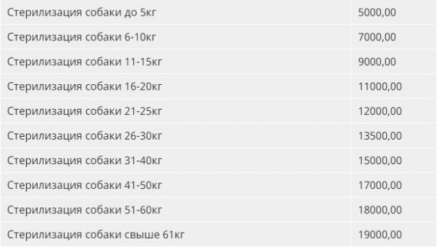 Стая бездомных собак напала на ребенка в центре Уфы