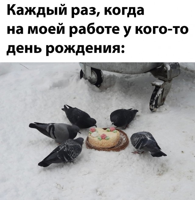 Весёлый полтишок 01.02