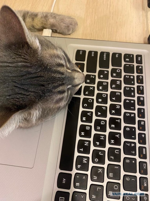 Котовторниковское