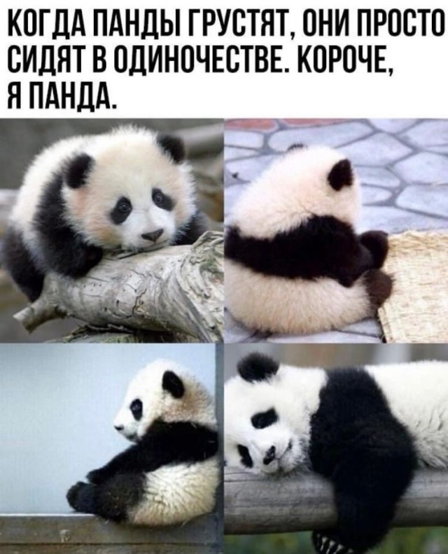 Так себе картинки 20.04.22