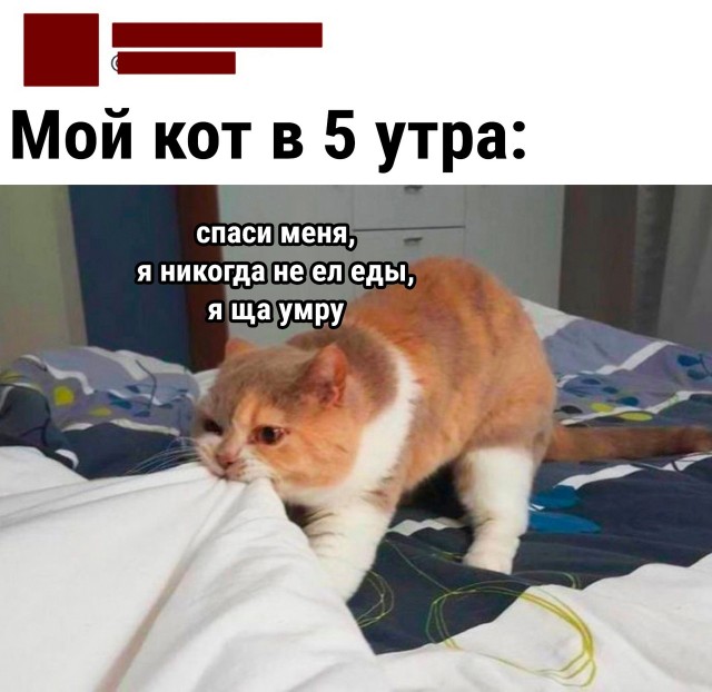 Так себе картинки 04.06.22