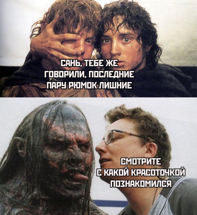 Весёлый полтишок 15.07.22