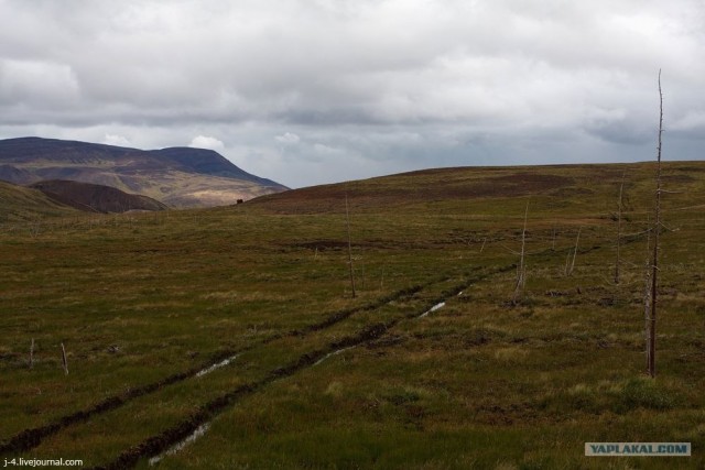 За Полярным кругом. Норильск. Тундра.