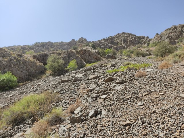 На Алтае, на лошадях и в ужасе⁠⁠