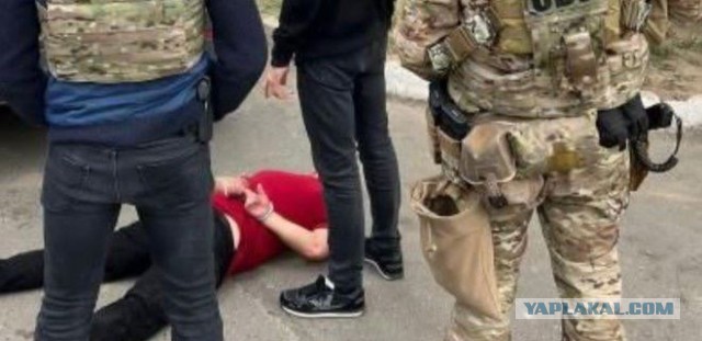 Пандемия съехавших крыш - разновидности болезни. Россия и мир. Часть 43.