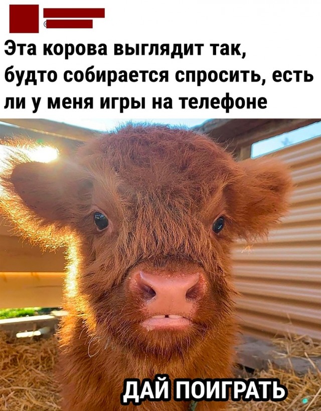 Чуток картинок 11.10.22