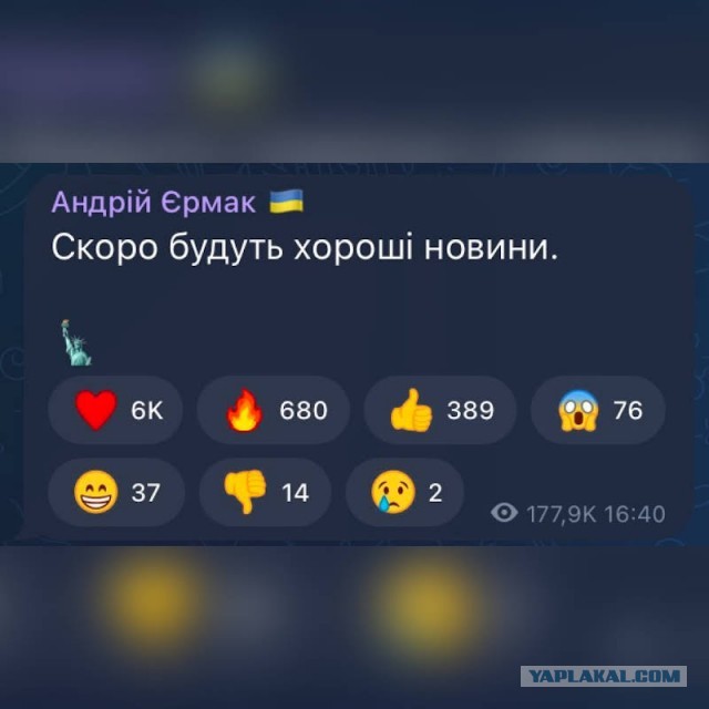 Россия запросила заседание СБ ООН по биолабораториям на территории Украины через два дня, сообщили в постпредстве.
