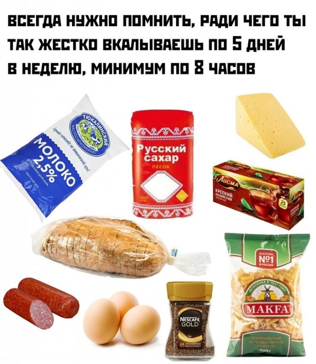 Весёлый полтишок 10.11.22