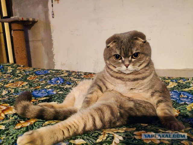 Вот и два моих рабовладельца
