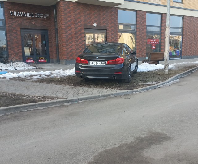 Никто лучше Гузеевой не скажет