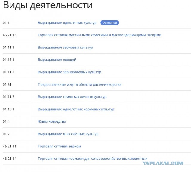 Искупались идиоты или как обнулить свой бизнес