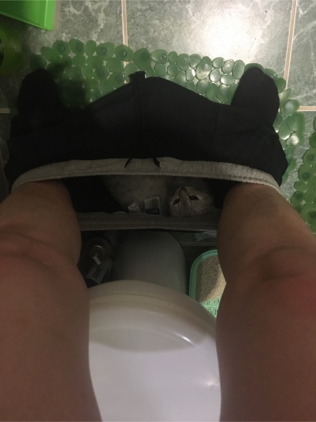 Каких людей кошки любят больше всего: 3 главные причины