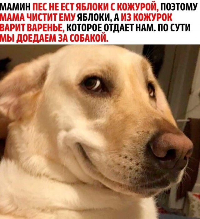 Пятничное улыбательное!