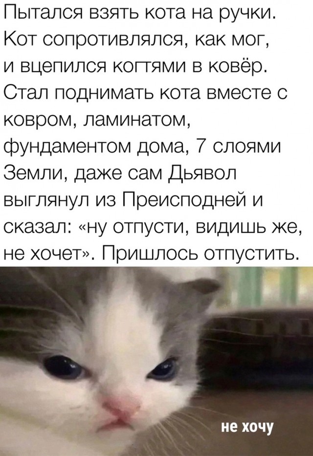 Так себе картинки 16.01.24