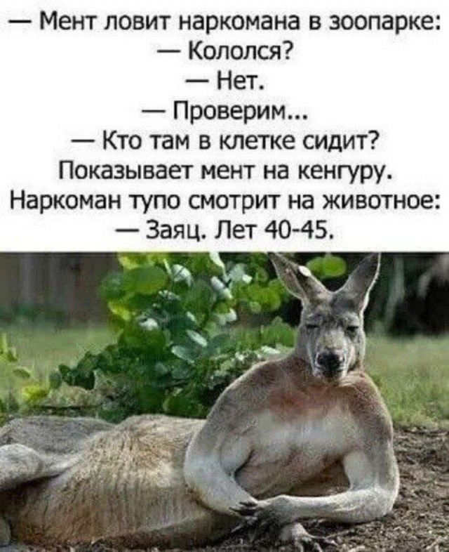 Всего понемногу. От 24.02.24