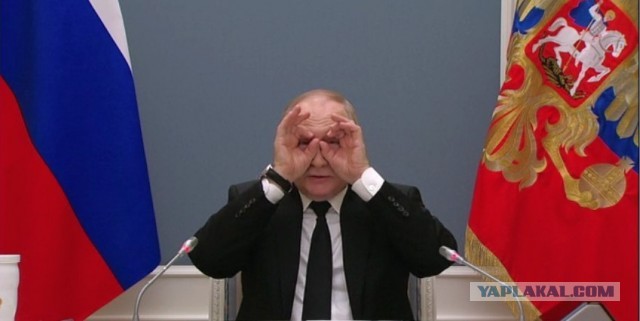 Жители Коммунарки записали видеообращение к президенту Путину и Бастрыкину