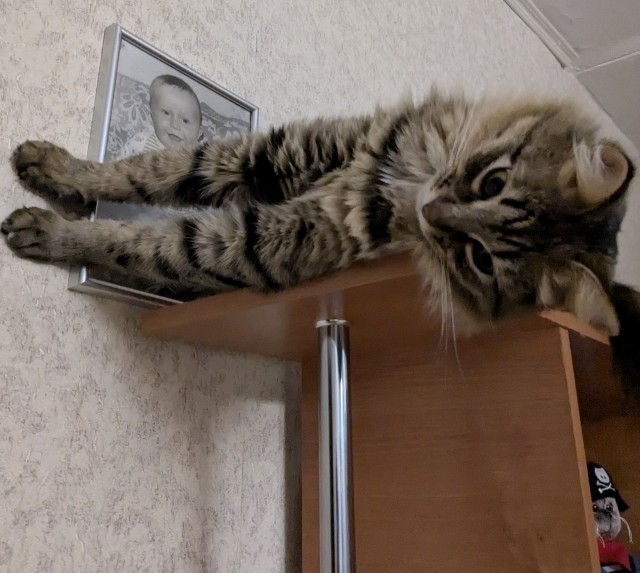Нажрался и спит