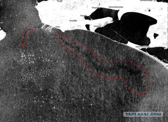 Отдых в Анапе, похоже, ВСЁ: экологи бьют тревогу из-за разлива мазута