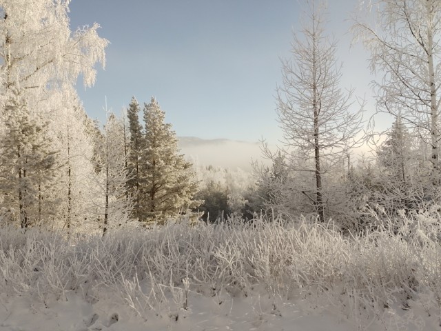 Зимний день в Абзаково