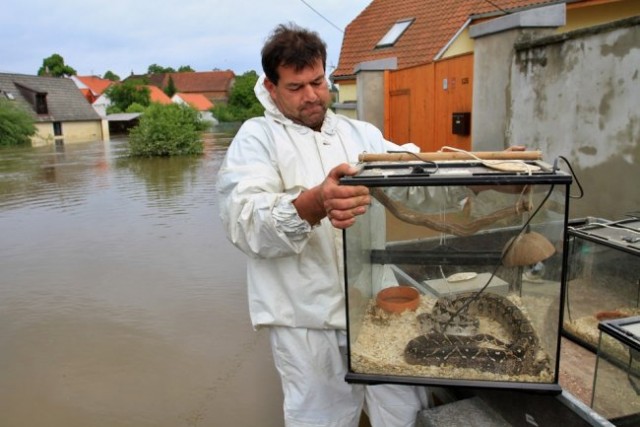 Наводнение в Чехии