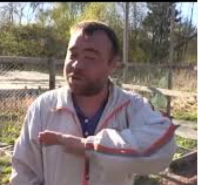 Как учились писать гусиным пером в Средневековье, и почему стать писарем мог не каждый