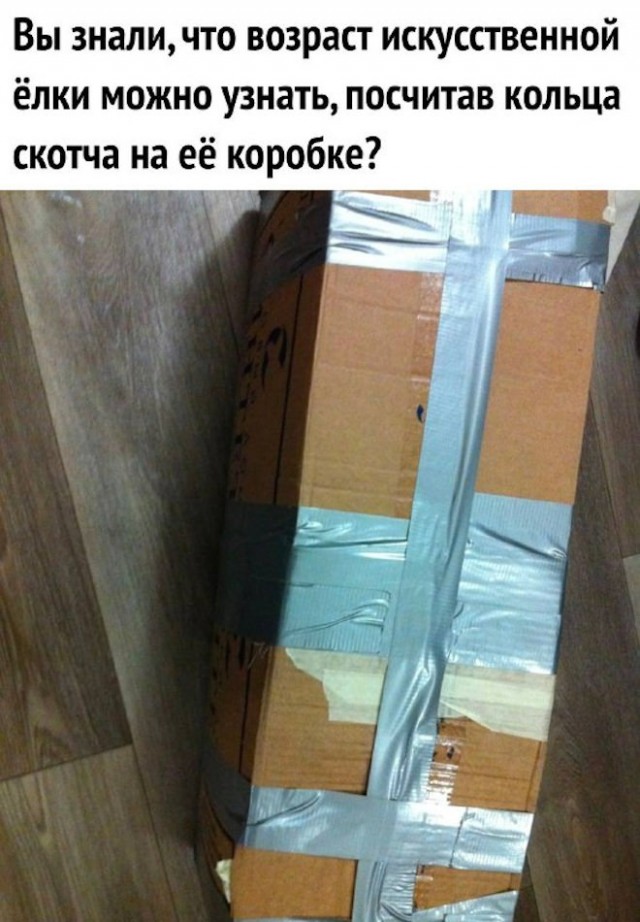 Веселые картинки в пятницу (08.08)
