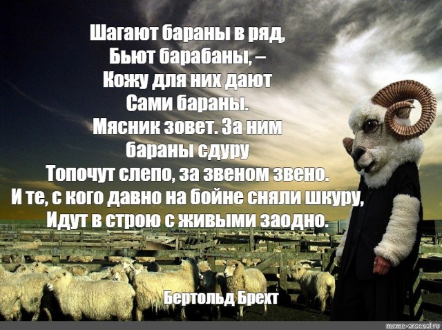 Товарищ Путин, произошла чудовищная ошибка