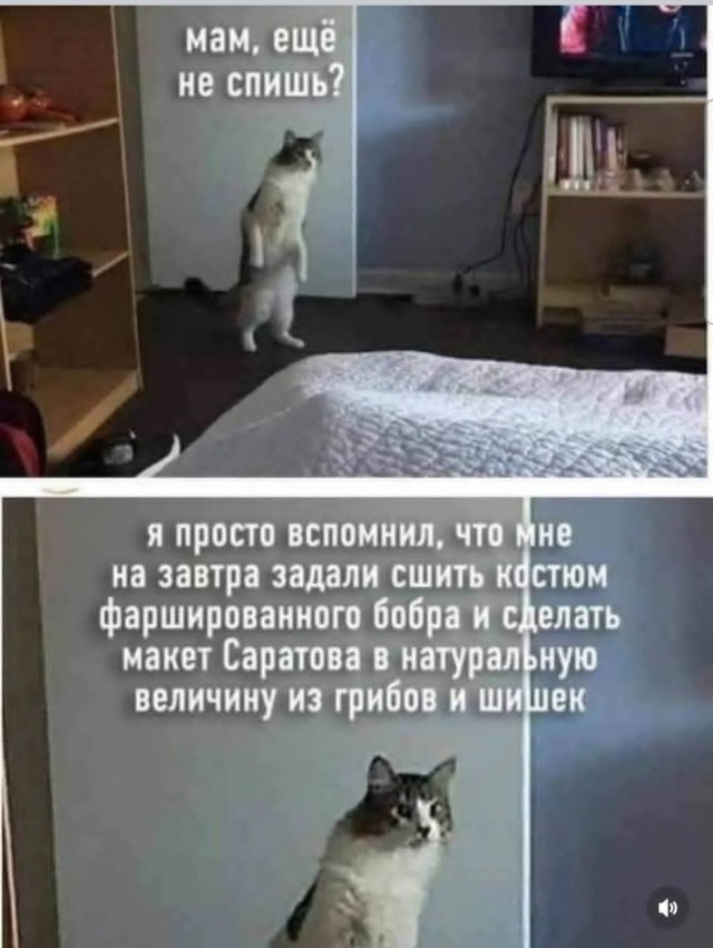 Маленькая пятница 24.09