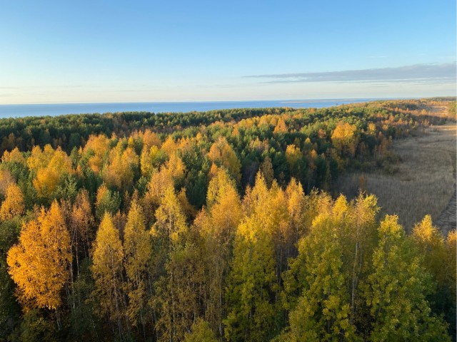 Москвичка переехала из новостройки в старый фонд и совсем ни о чем не жалеет
