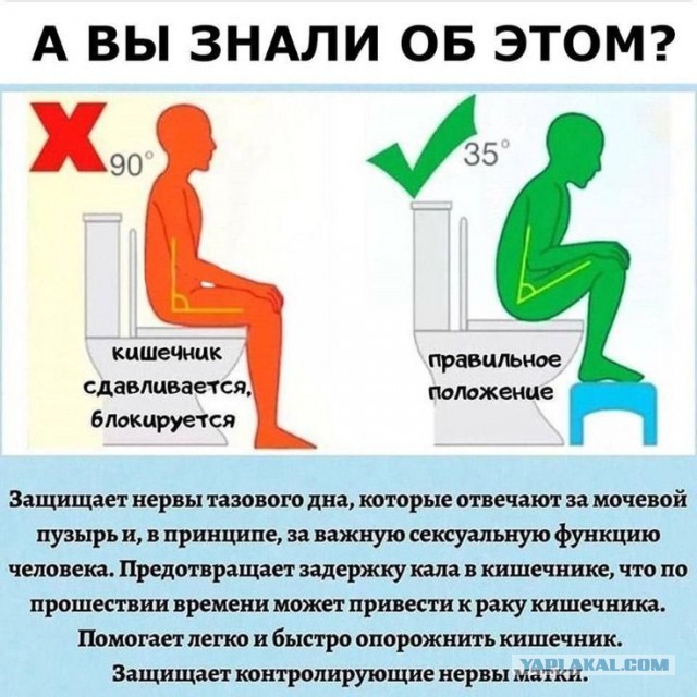 Мужик нанял бригаду мигрантов для ремонта. Что могло пойти не так?
