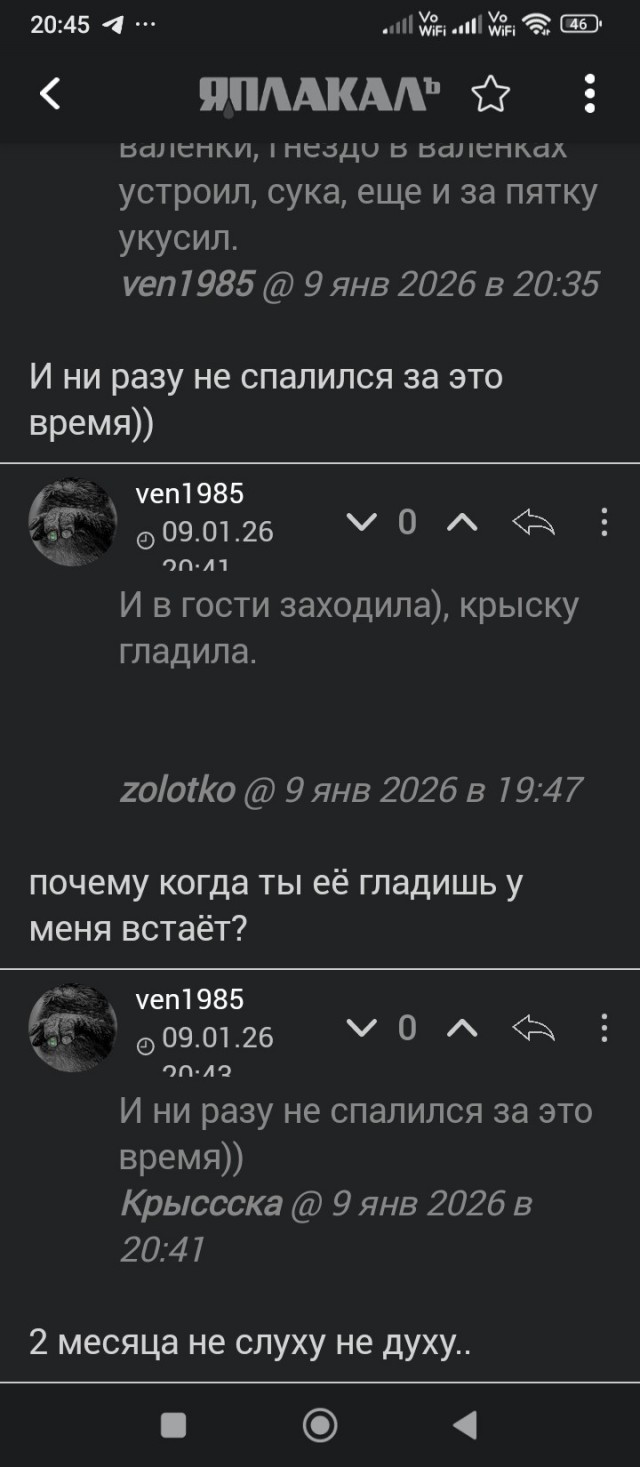 Новый год, Рождество... Семейные праздники!