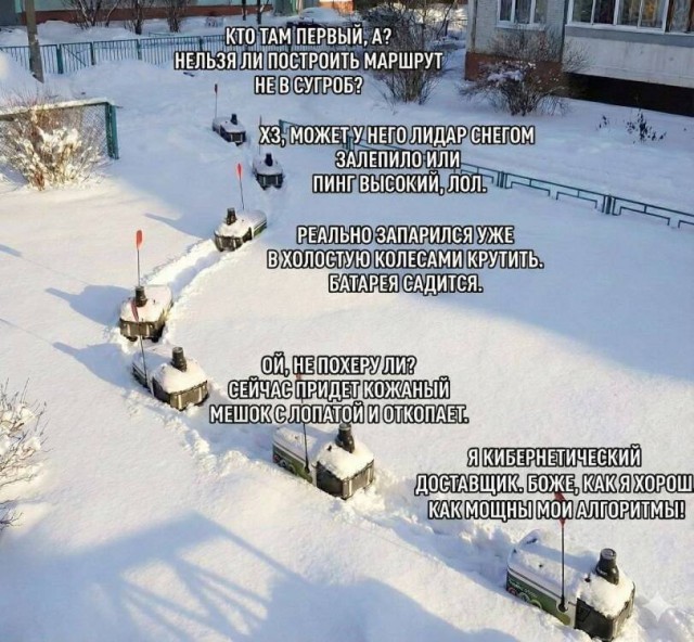 Веселых картинок вам в ленту