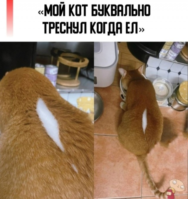 Среды картинки